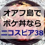 ニコスピア38 ポケ丼